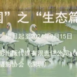 征稿進行時 | “美麗中國”之“生態(tài)篇”攝影展征稿啟事