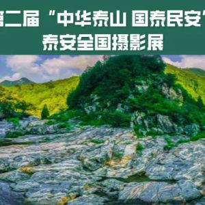 征集 | 第二届“中华泰山 国泰民安”泰安全国摄影展