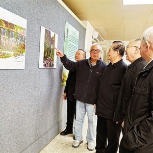 109幅作品共绘“最美夕阳红” 《光影岁月，记录精彩》摄影展举行 ...