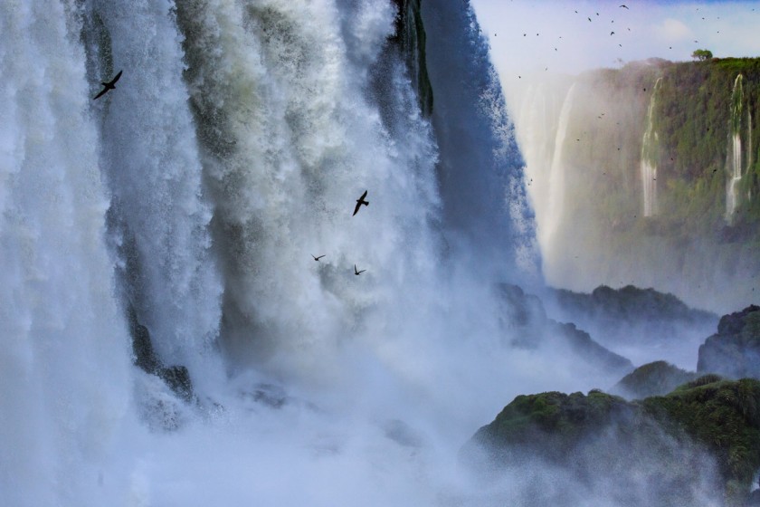 大黑雨燕穿越瀑布图片